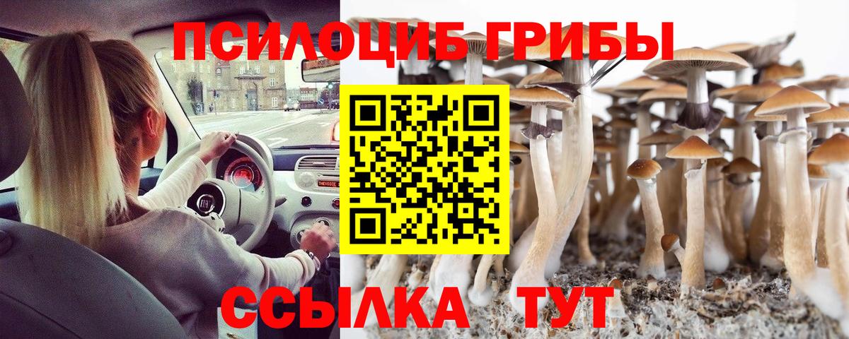 Галлюциногенные грибы прущие грибы  Вход с VPN  Кемерово 